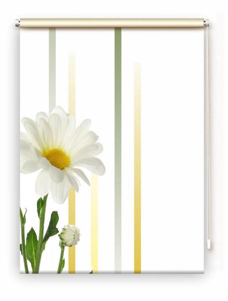 Rollo Margarete linia links, Rollo, Motivrollo, Rollo mit Druck, Fotorollo, bedrucktes Rollo, Fensterrollo,verdunkelndes Rollo, Sonnenschutz Rollo